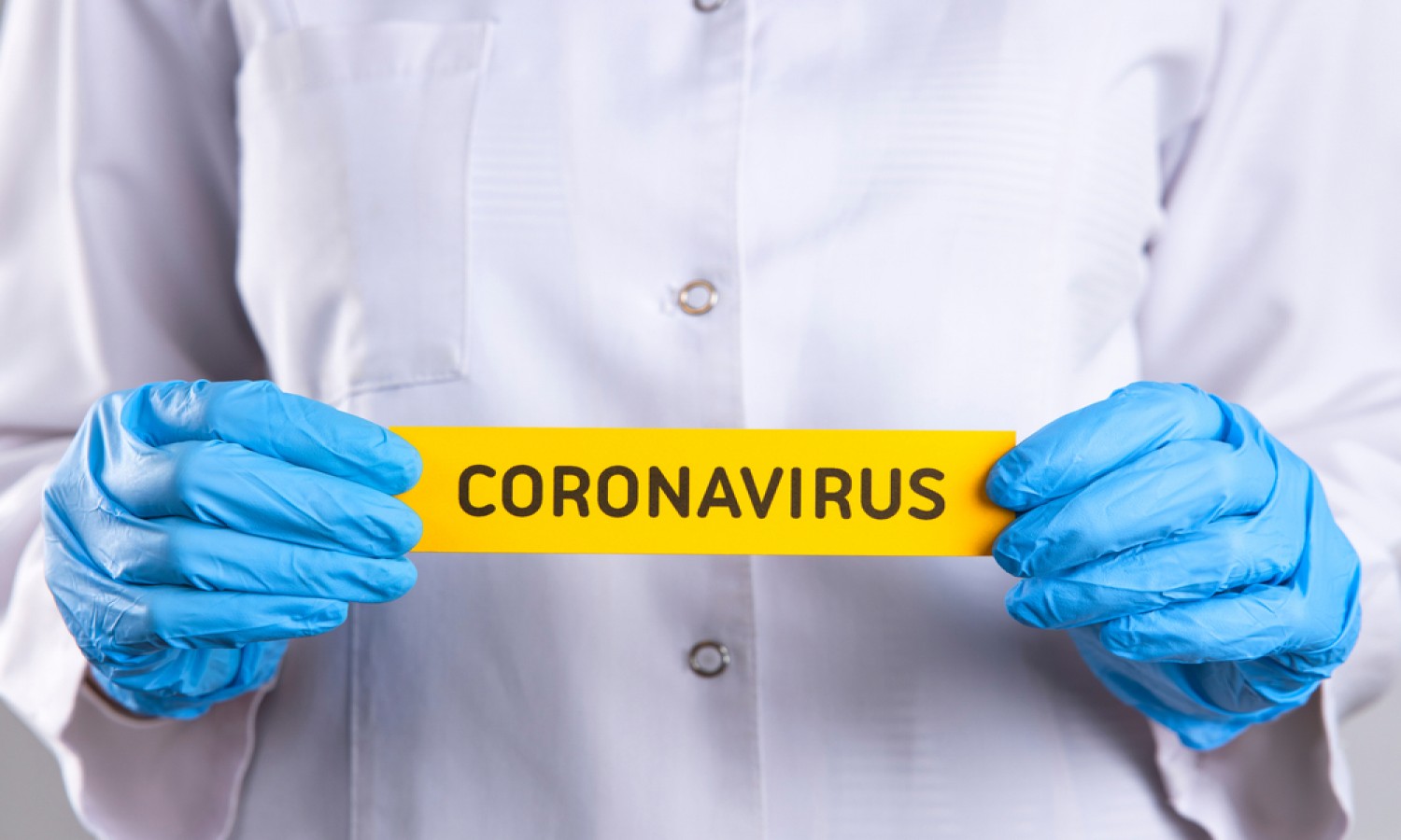 Kementan Sebut Eucalyptus Berhasil Pada Uji Klinis