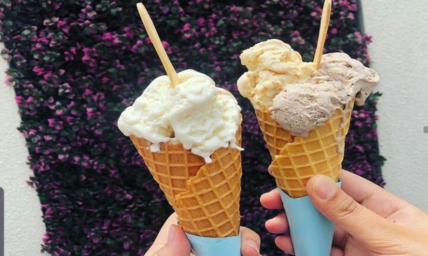 3 Kedai Gelato Ini Instagramable di Kota Malang