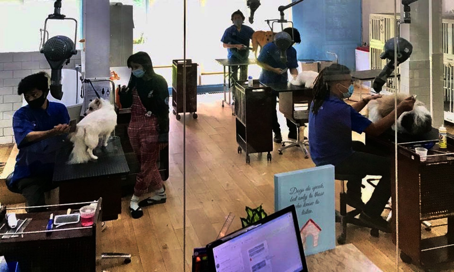 Gemasnya <i>Lifestyle</i> Anjing Masa Kini