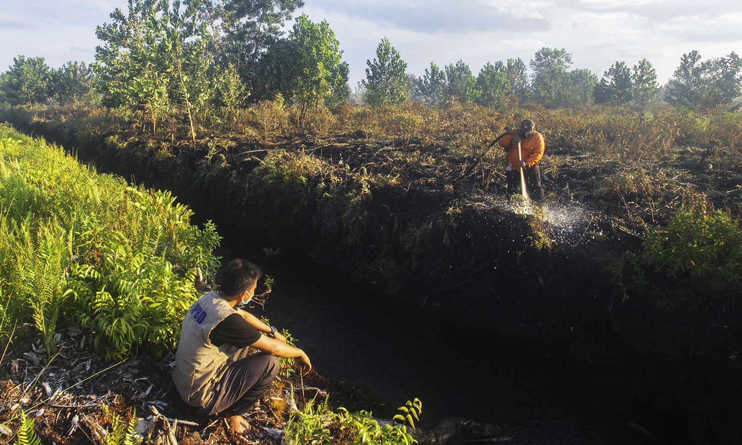 Legislator Minta BPDLH Rancang Pengelolaan Dana Lingkungan Hidup