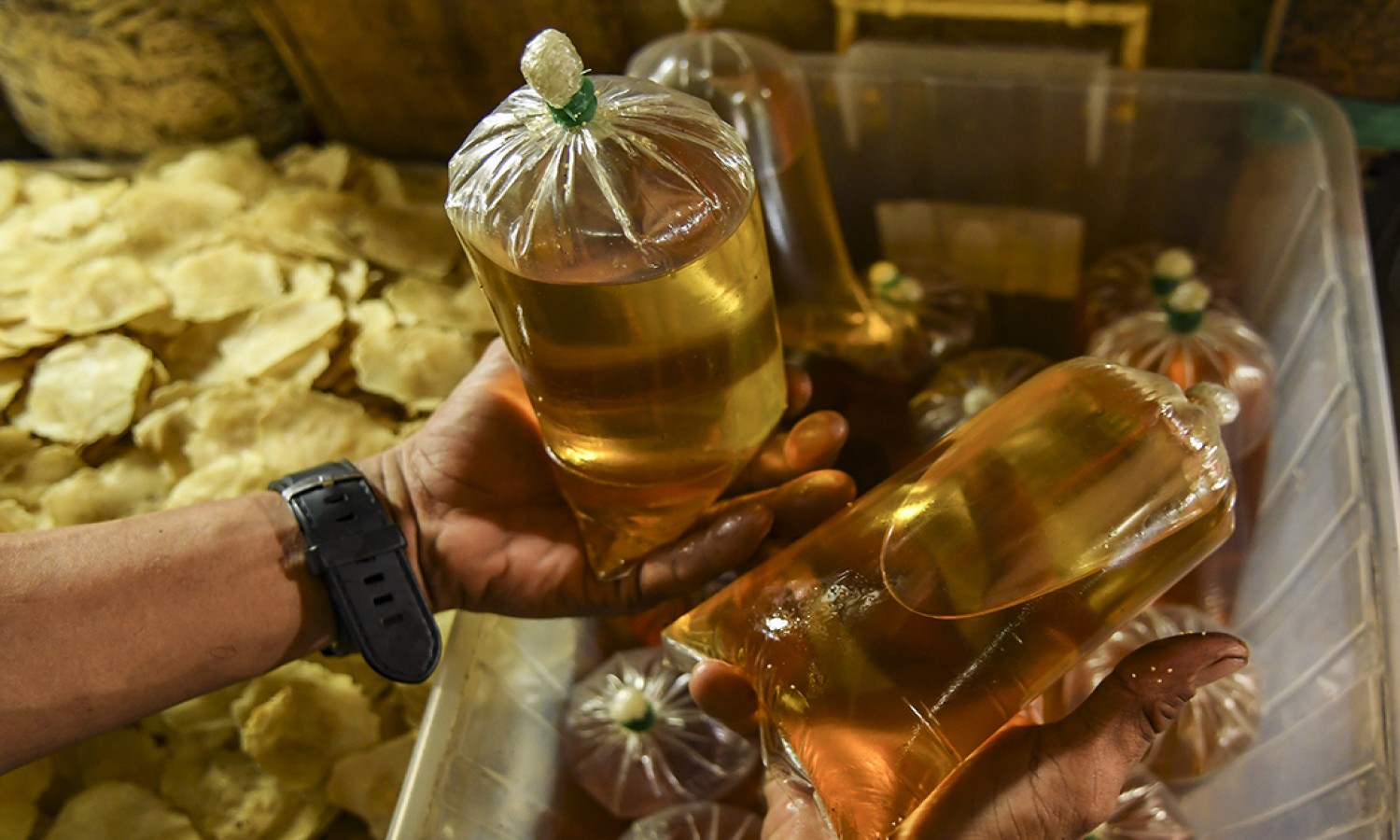 Indonesia Bersiap Jadi Raja Hilir Sawit Pada 2045