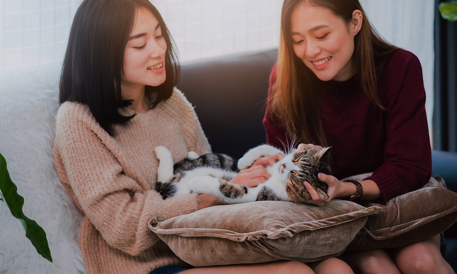 Studi: Hewan Peliharaan Bisa Tertular Covid-19 Dari Manusia