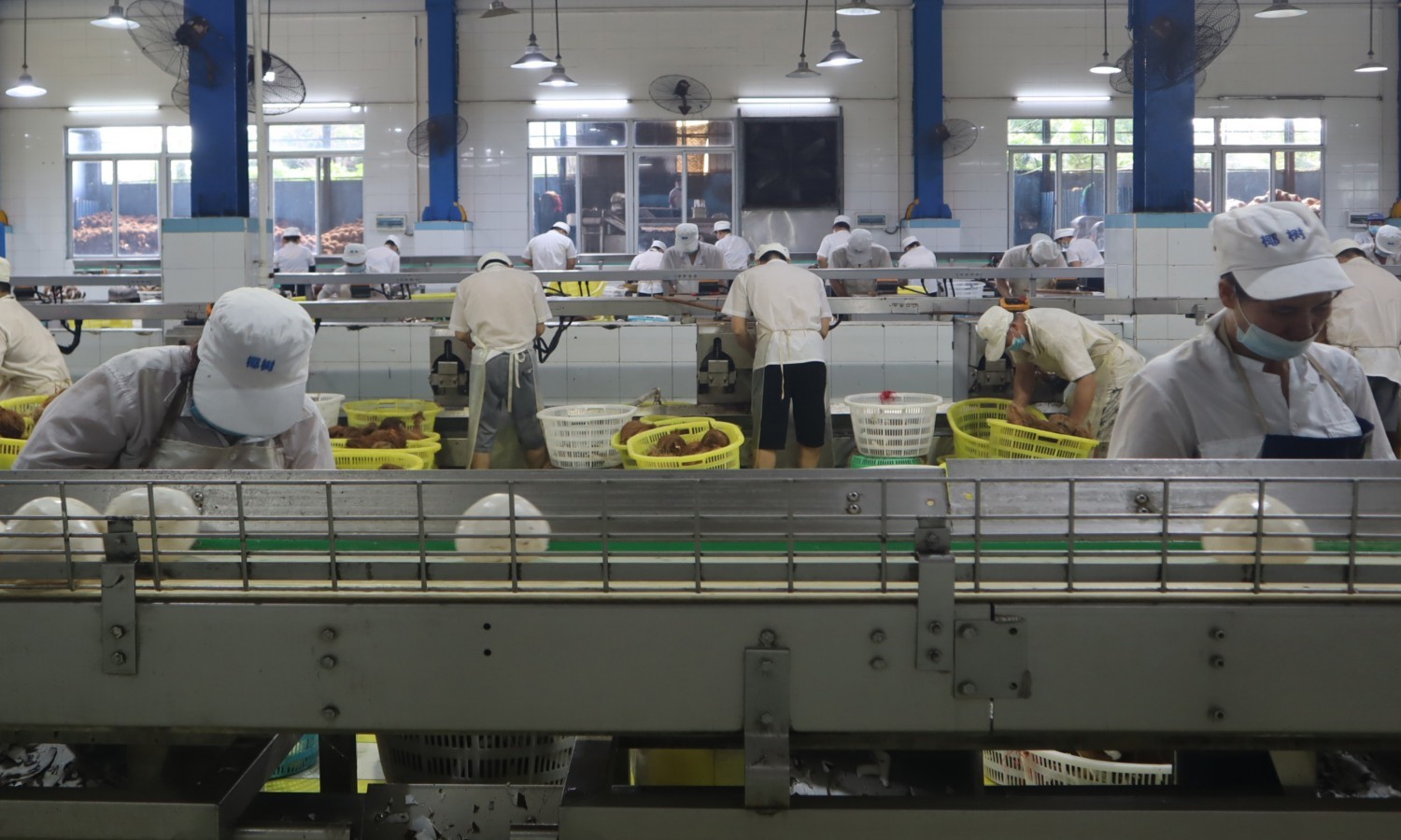 BPJamsostek Ingatkan Perusahaan Tertib Iuran