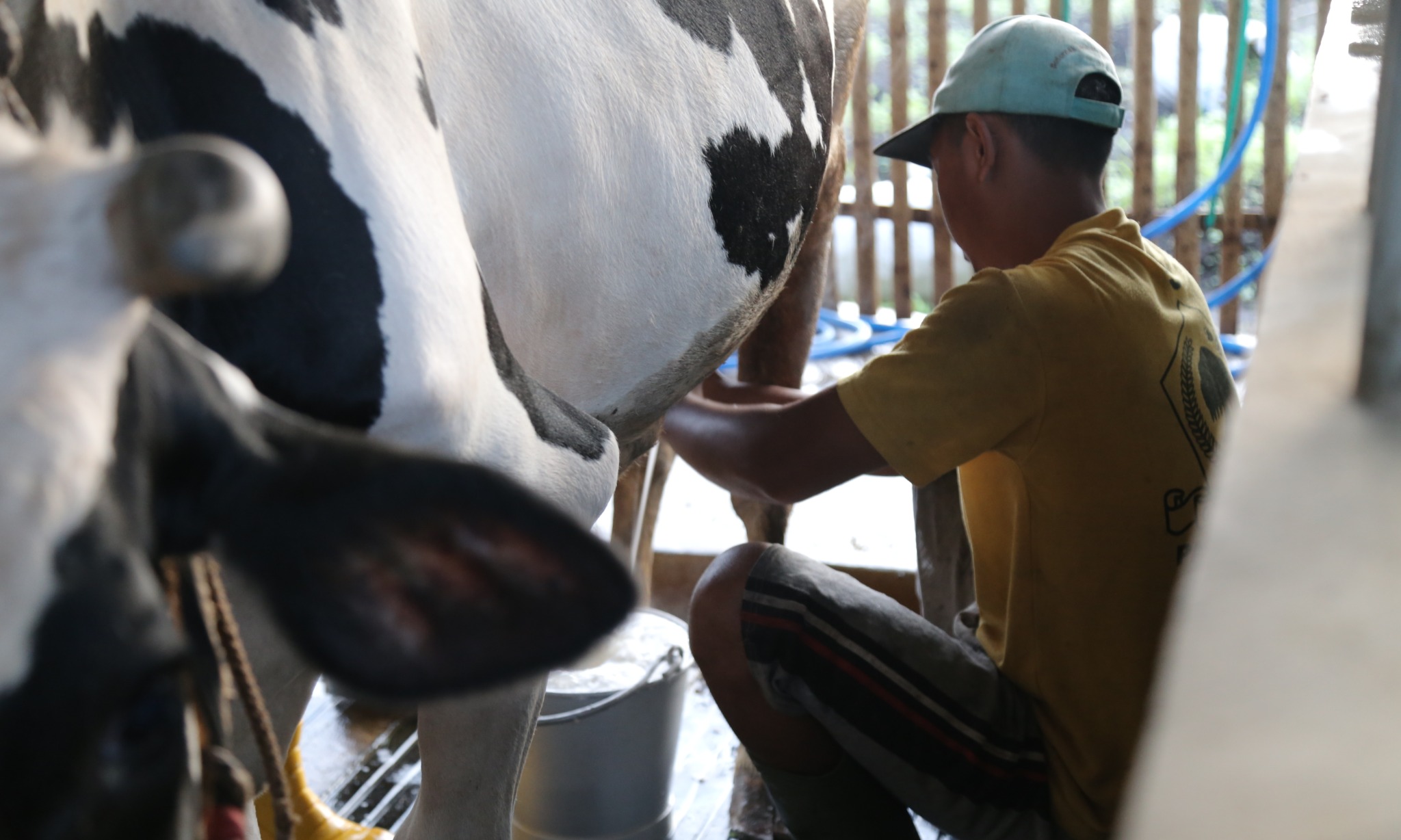 Nestlé Bertransisi Ke Sistem Pangan Regeneratif