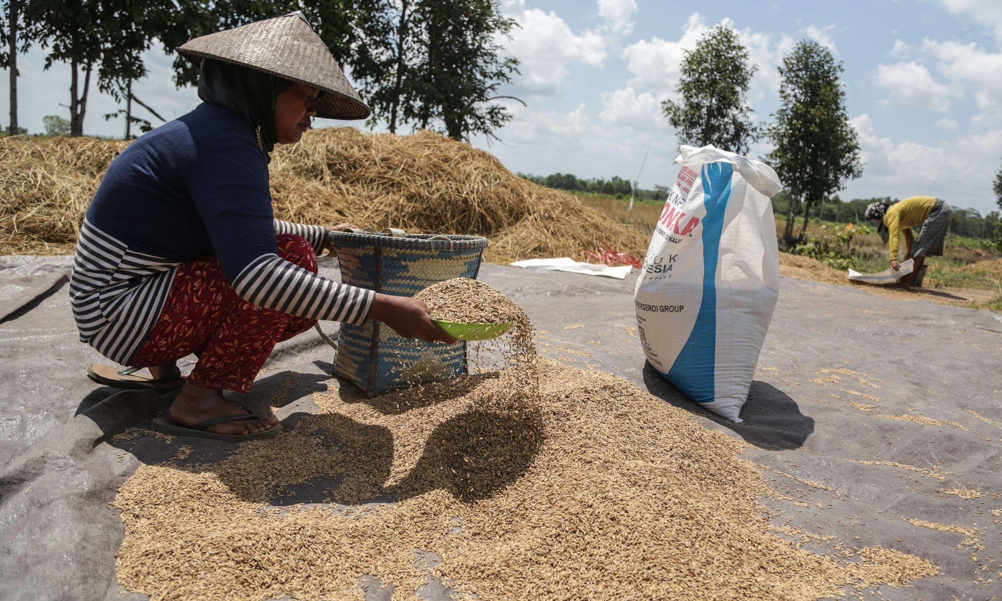 Kebijakan Pangan Non-Swasembada VS Perdagangan Pangan