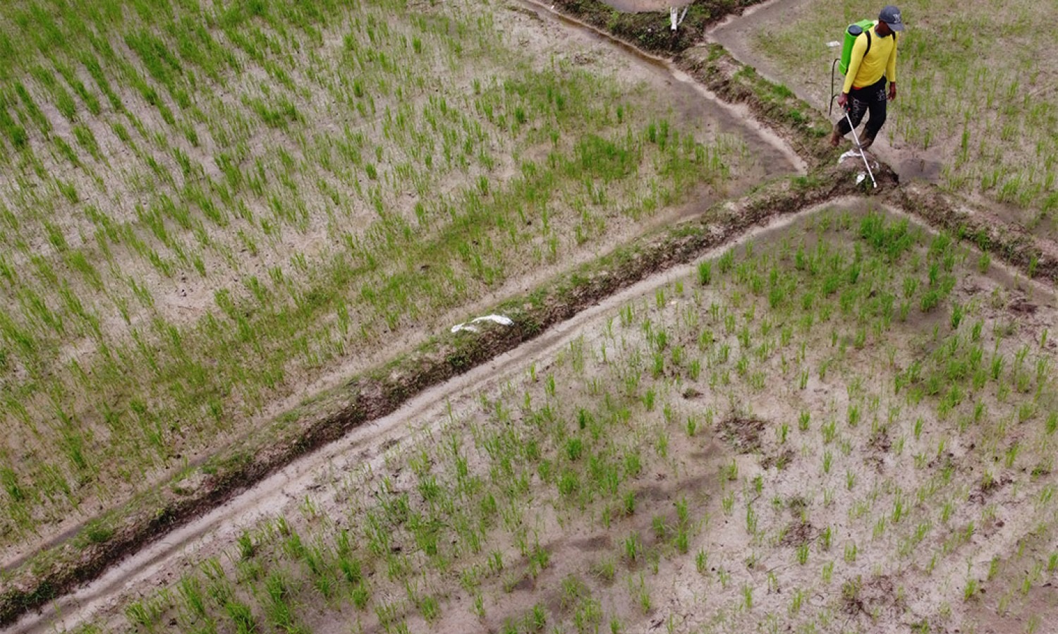 Pemerintah Siap Daratkan Investasi Pupuk Kaltim Ke Fakfak