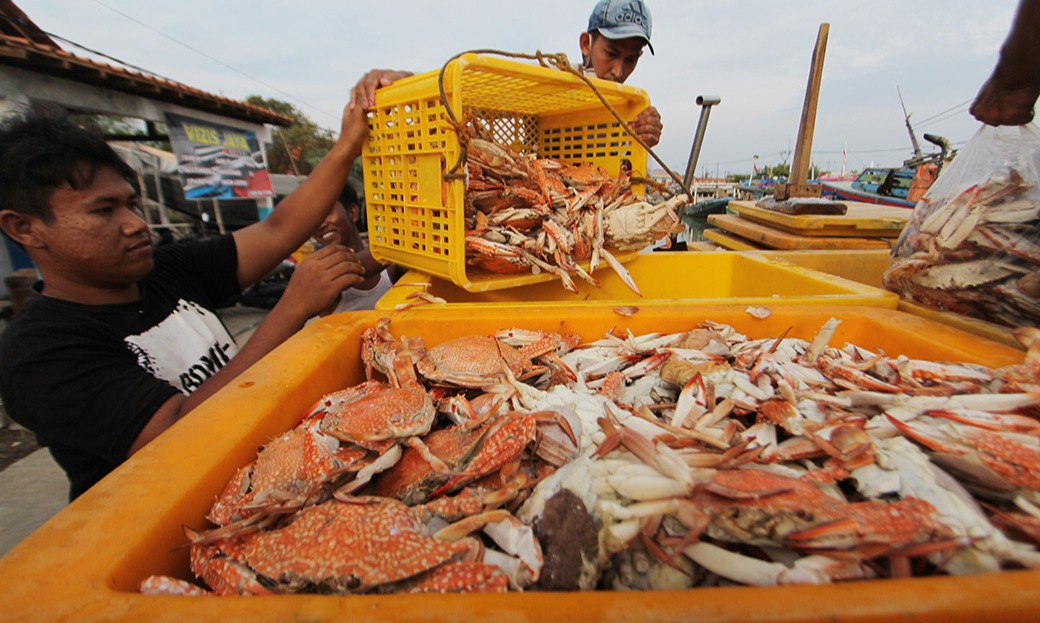 Produk Laut Indonesia Pikat Konsumen Eropa