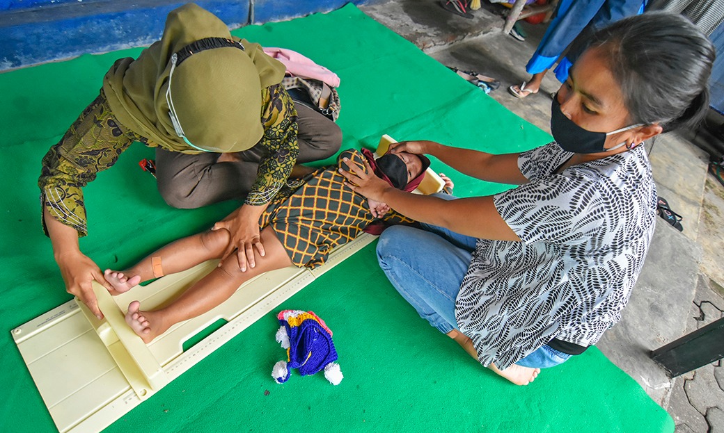 FAO: Produktivitas Pangan Indonesia Harus Atasi Stunting