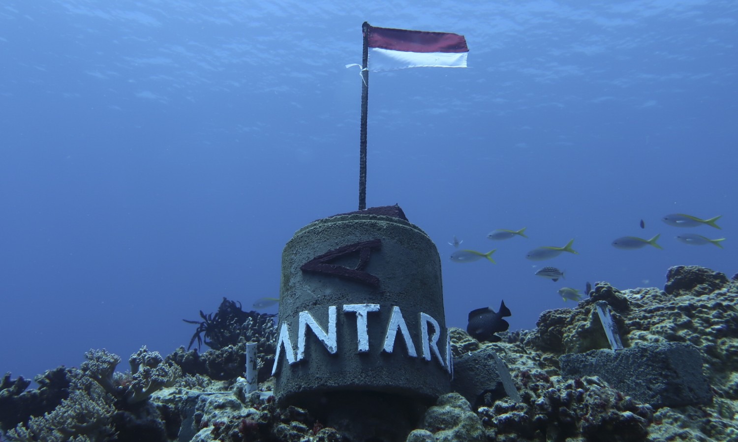 Pemerintah Perkuat Pertahanan Di Laut Natuna
