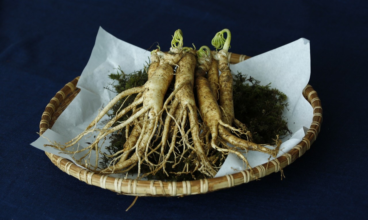 Ginseng Untuk Turunkan Gula Darah Pasien Diabetes