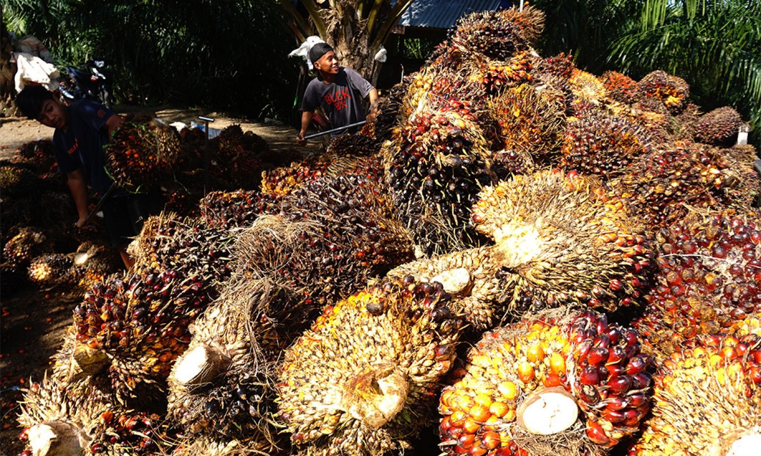 Bertemu Menhan Prancis, Menlu Retno Bahas Diskriminasi Sawit