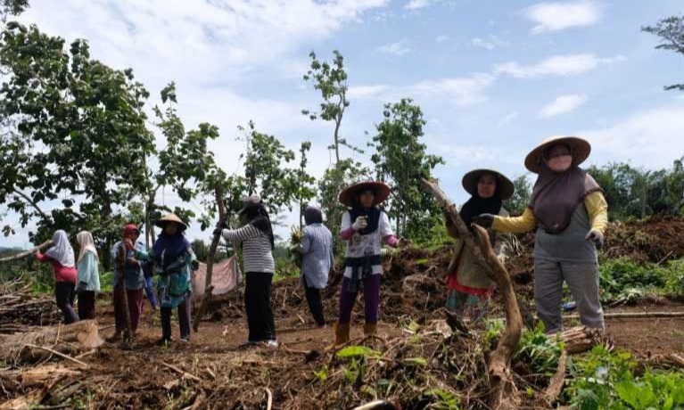 Eks Kades Hibahkan Lahan Dampak Jalan Tol Bawen-Yogyakarta
