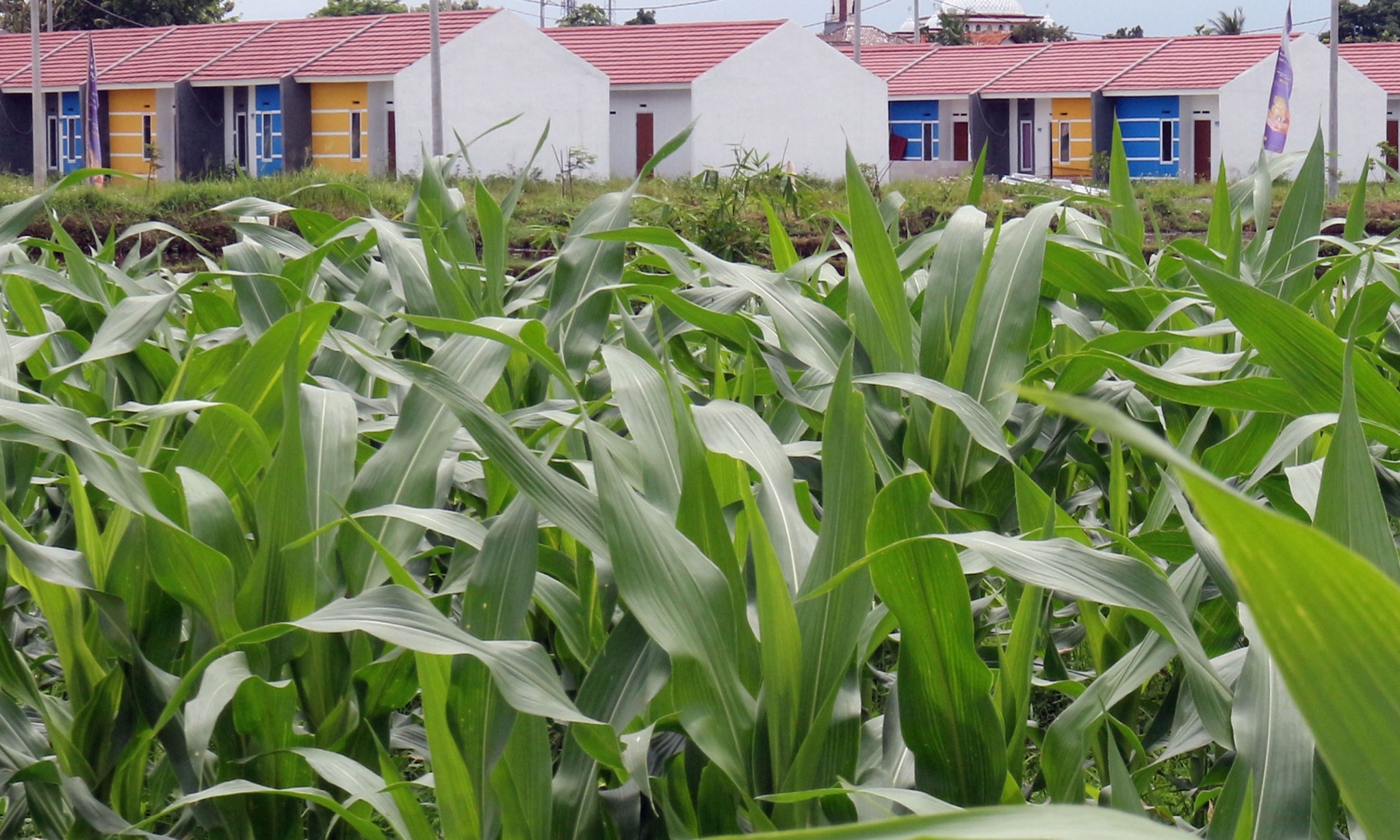 SMF Dorong Peningkatan Serapan KPR Subsidi untuk MBR