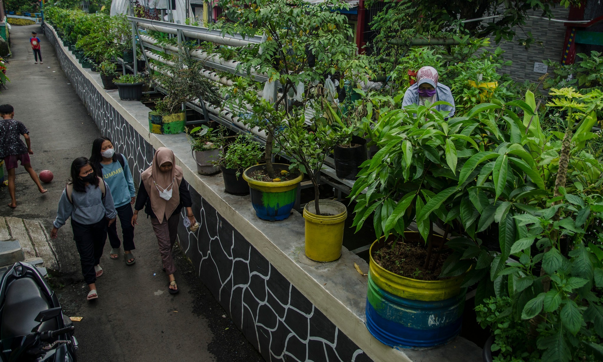Tanah Kas Desa Di Surabaya Jadi Area <i>Urban Farming</i>