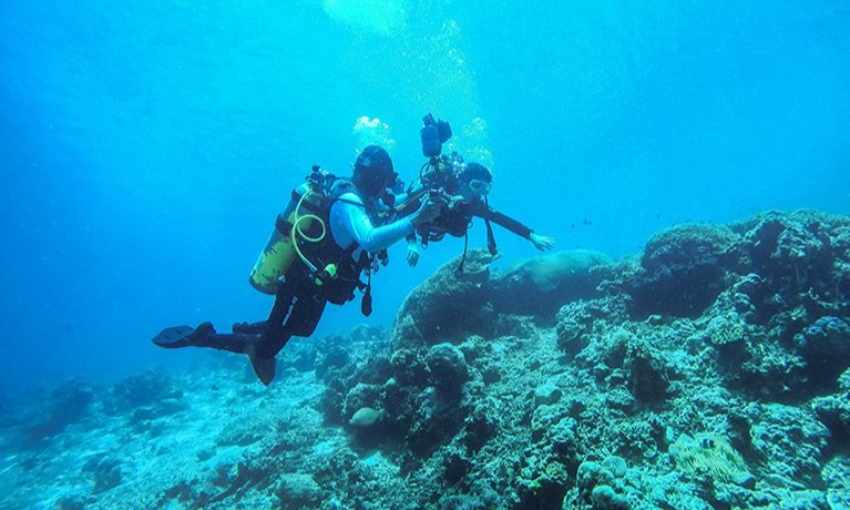 Wisata Selam Di Ambon Kembali Menggeliat