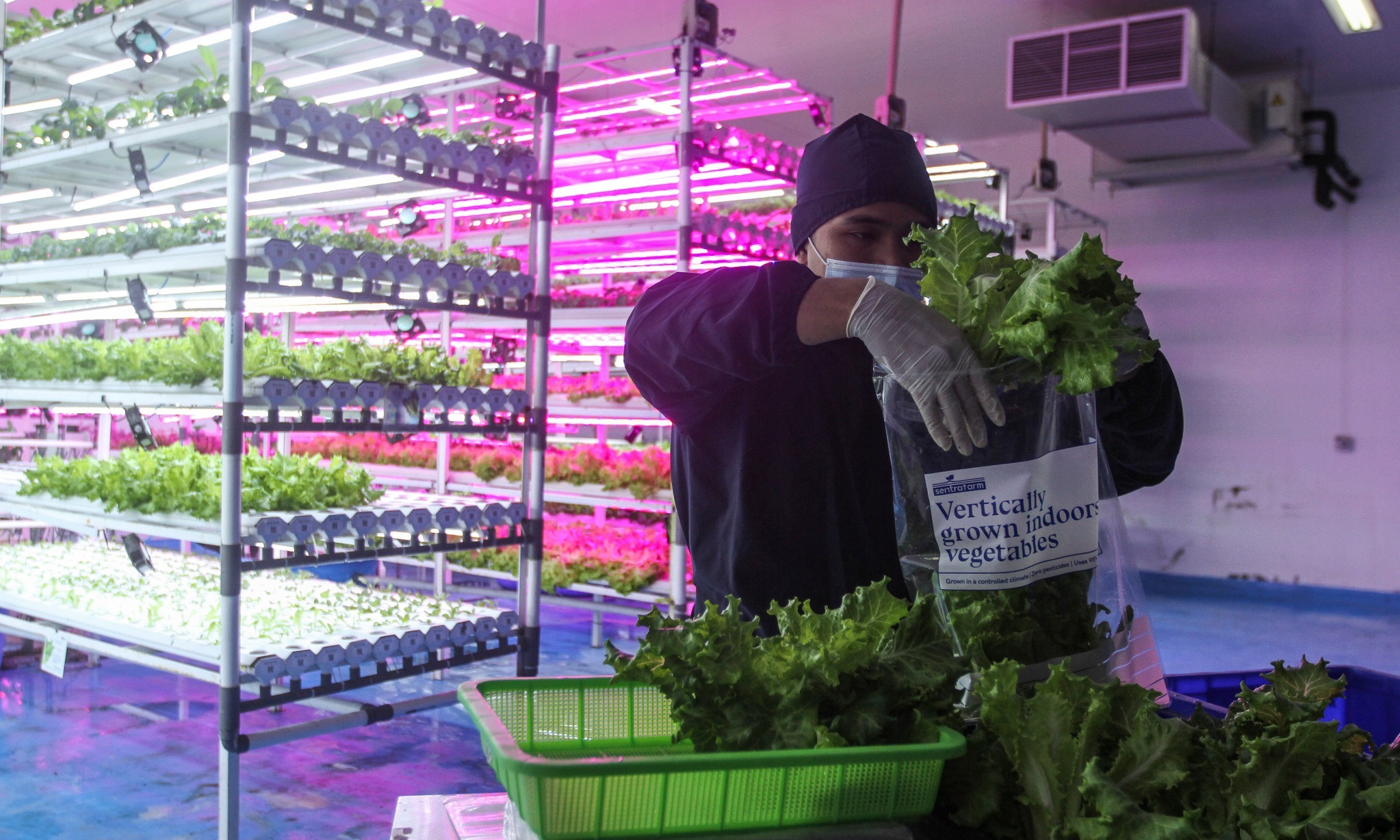 Kebijakan Perdagangan Terbuka Bantu Pulihkan Ekonomi Indonesia