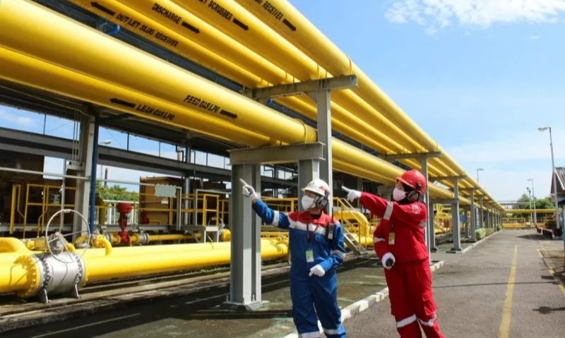 Catat Kinerja Positif 2021, Pertagas Raih Laba Bersih US$127,2 Juta