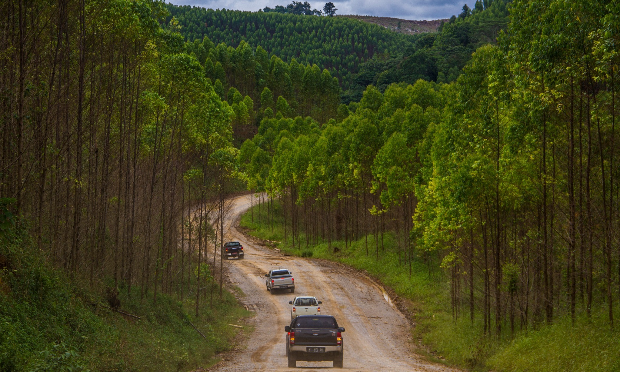 IKN Dinilai Rentan Serangan Udara, Ini Respons Panglima TNI