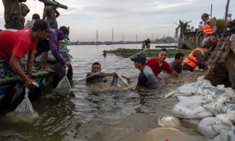 Pelindo Beri Relaksasi Bagi Pelanggan Terdampak Banjir Rob Semarang
