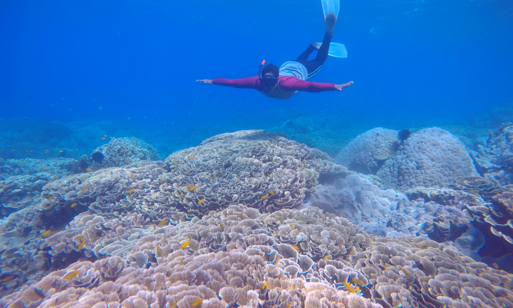 Dukung Konservasi, KKP Kucurkan Rp97 Juta Untuk Tuah Basamo Diving