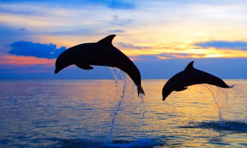 Alternatif Wisata Di Bali Saat Libur Sekolah