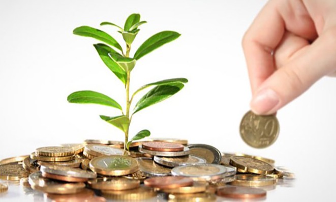 Tips Atur  Portofolio Investasi