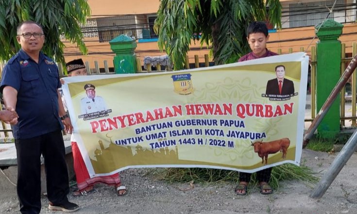 Gubernur Papua Sumbang 31 Sapi Kurban