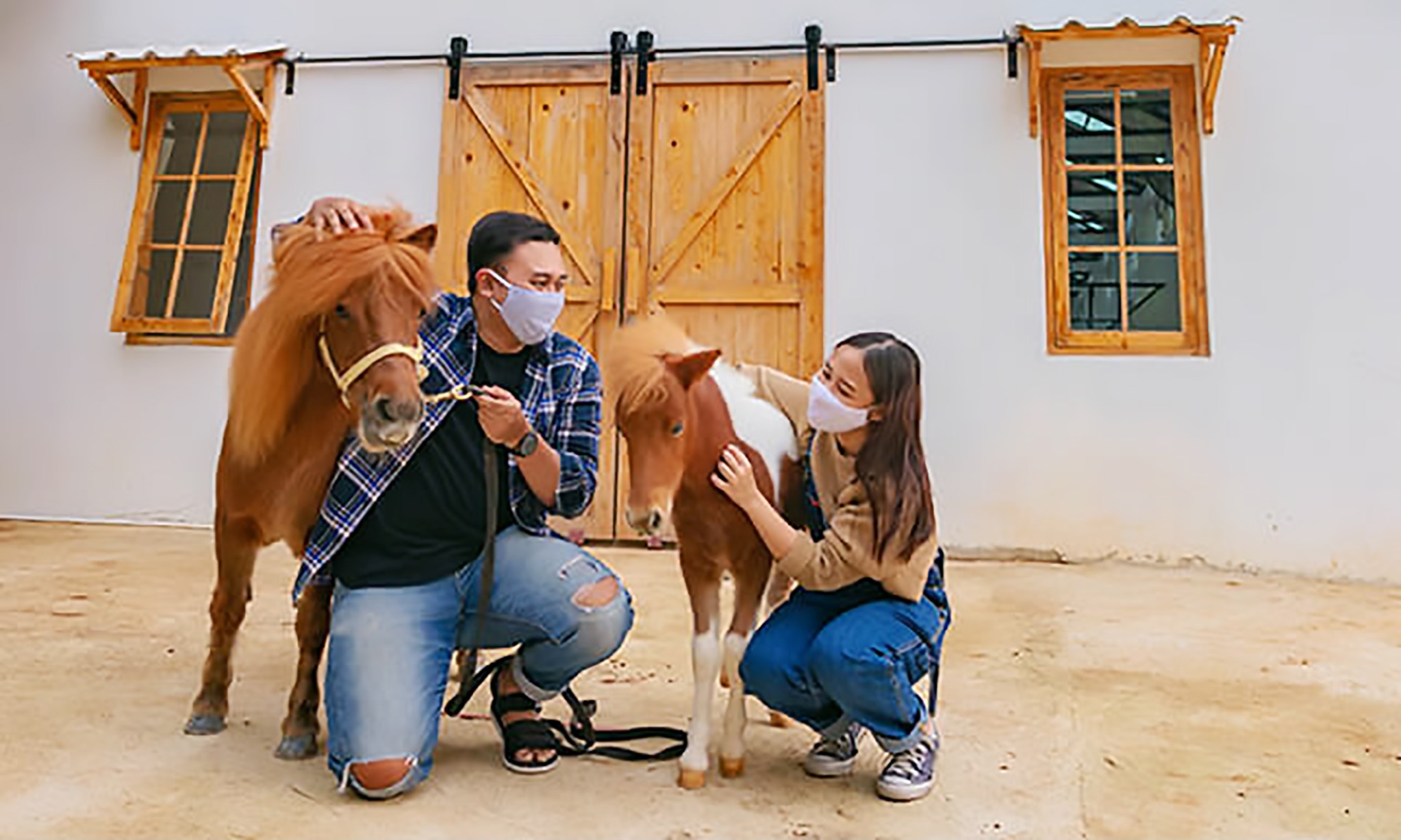 Teepee Barn, Wisata Bermain Bersama Alpaca di Scientia Square Park