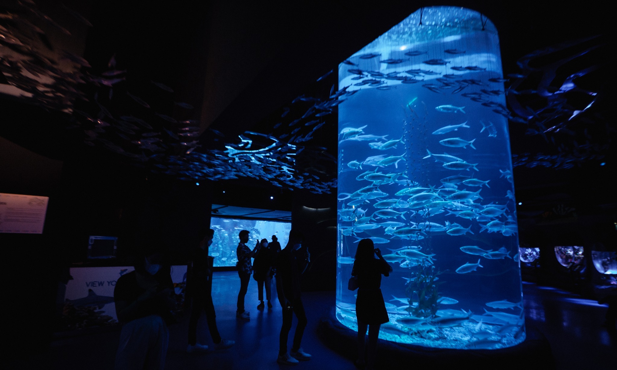 Jakarta Aquarium, Rumah Konservasi 3.500 Spesies Hewan