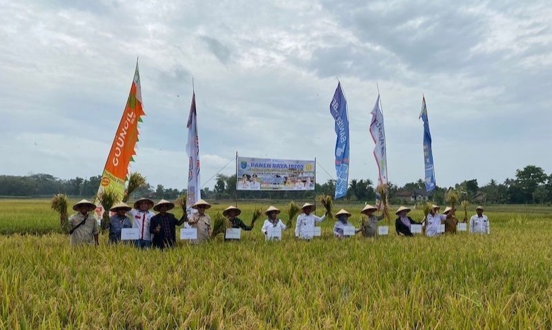 Langkah Tepat Indonesia Untuk Memitigasi Krisis Pangan