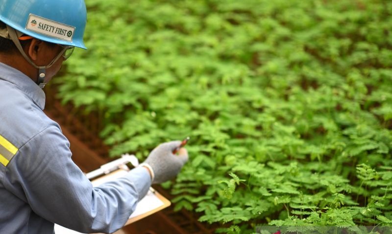 Komitmen MIND ID Menuju Pengurangan Emisi 15,8% Di 2030