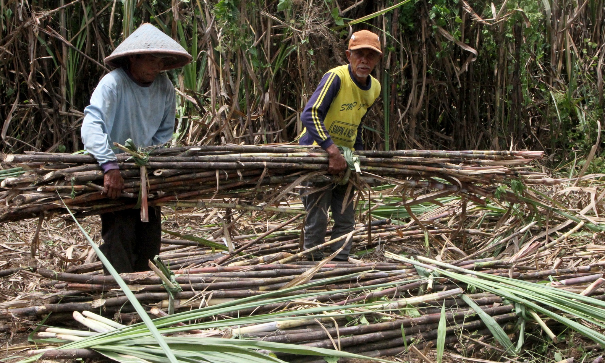 AEPI Serukan Keseriusan Tingkatkan Produksi Gula Nasional
