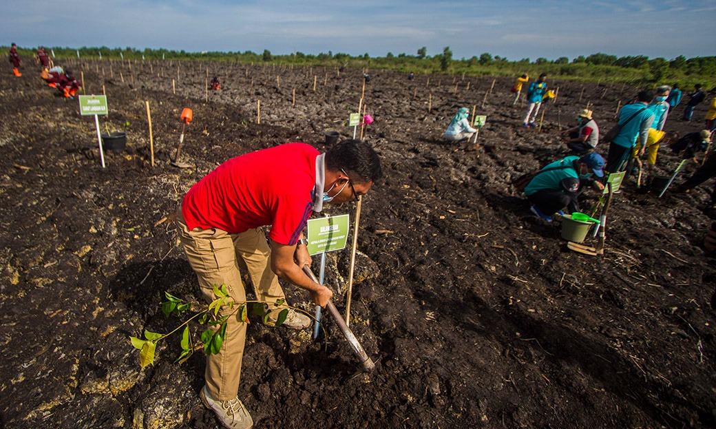 Indonesia Terima Pembayaran Pertama Pengurangan Emisi
