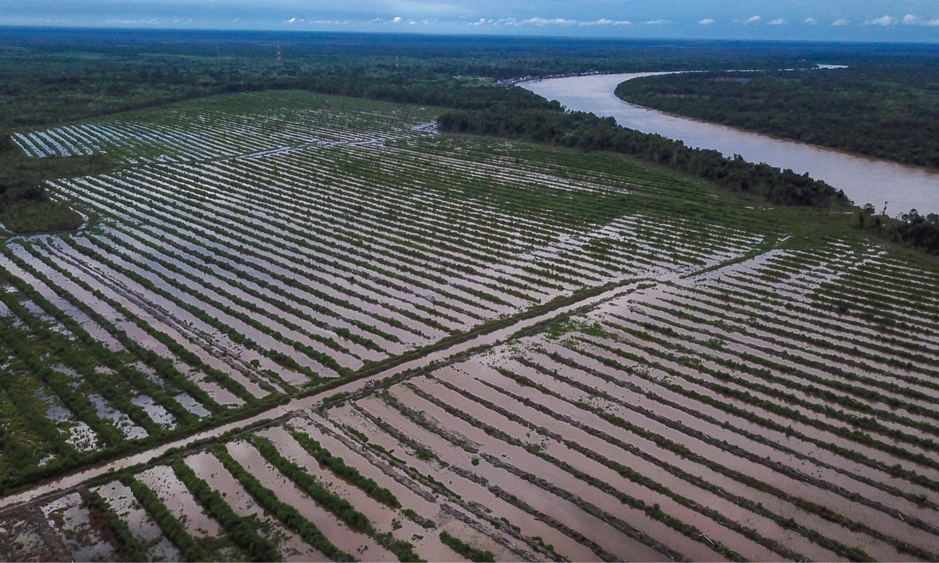 <i>Food Estate</i> Tak Jamin Ketahanan Pangan
