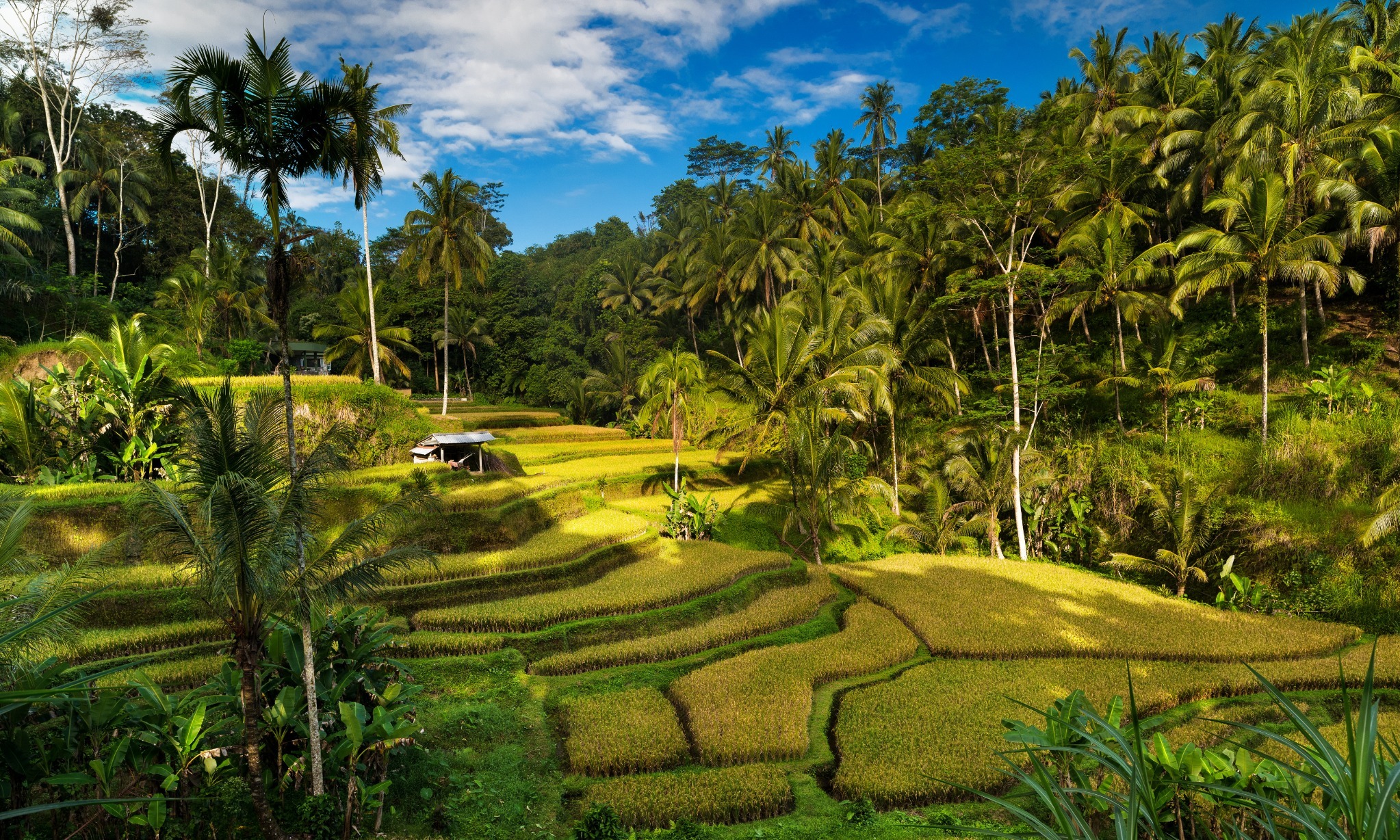 Lima Fakta Yang Menjadi Ciri Khas Pariwisata Indonesia