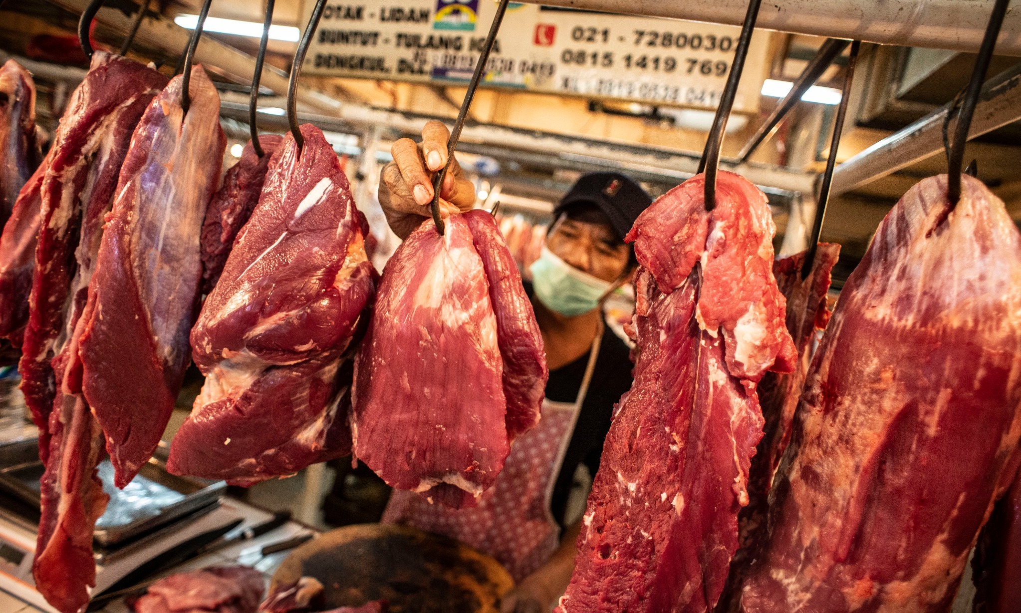 Sapi Bali Bisa Jadi Penghasil Daging Premium