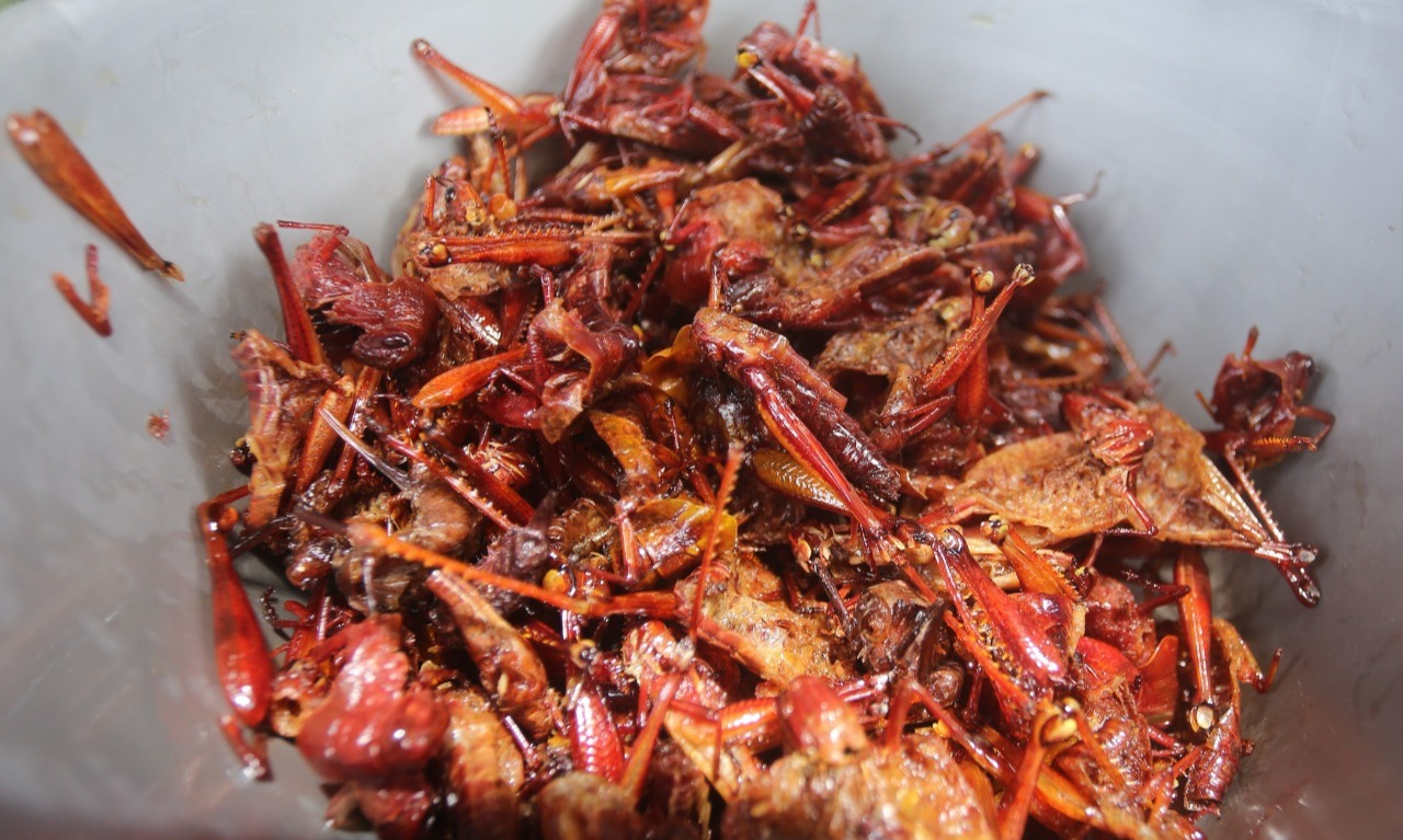 Mengintip Rekomendasi Wisata Kuliner Khas Di Gunungkidul