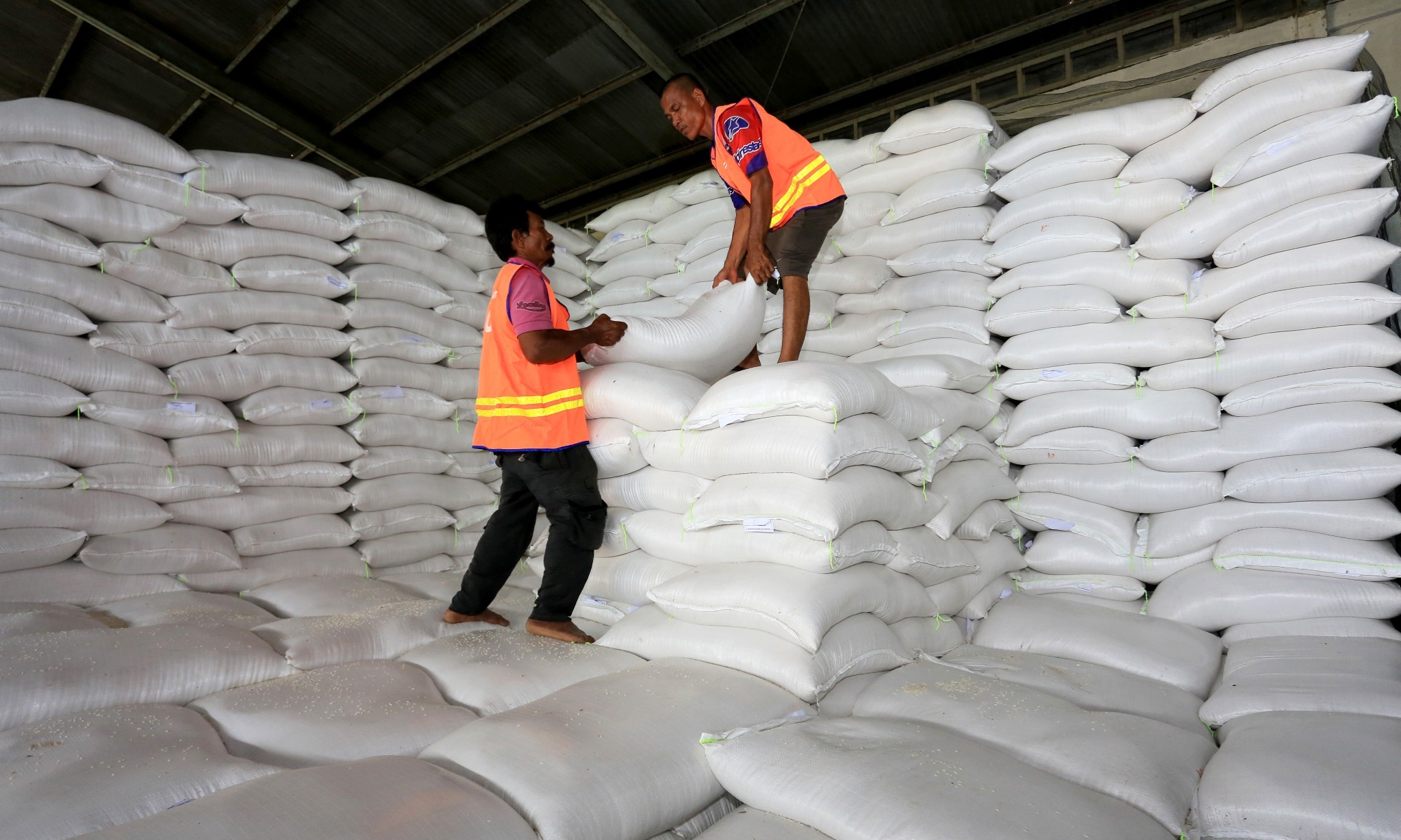 Polemik Ketahanan Pangan, Pentingnya Opsi Impor Beras Terencana