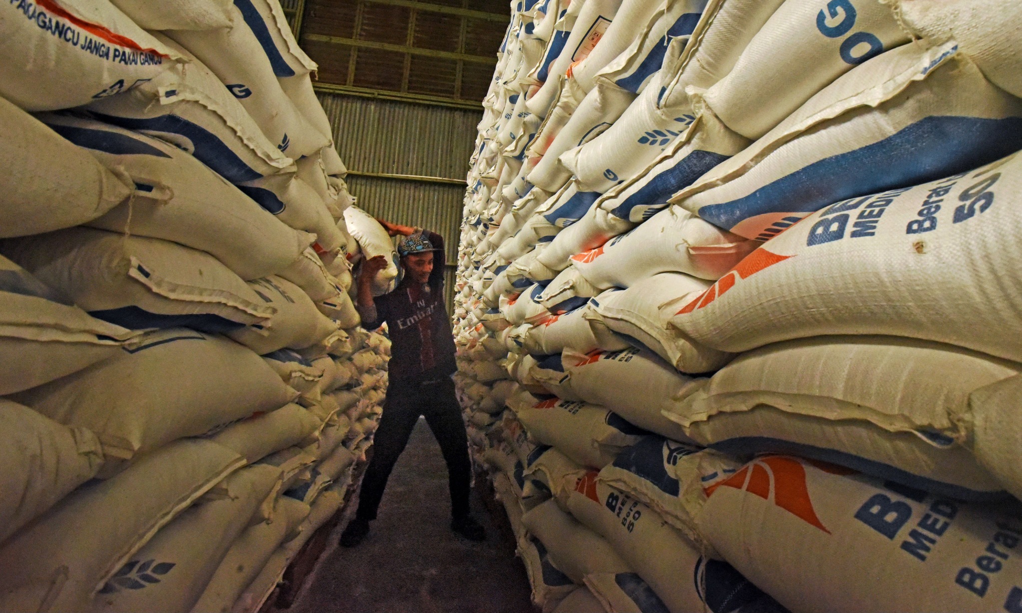 Rencana Impor Beras Jadi Pukulan Telak Indonesia