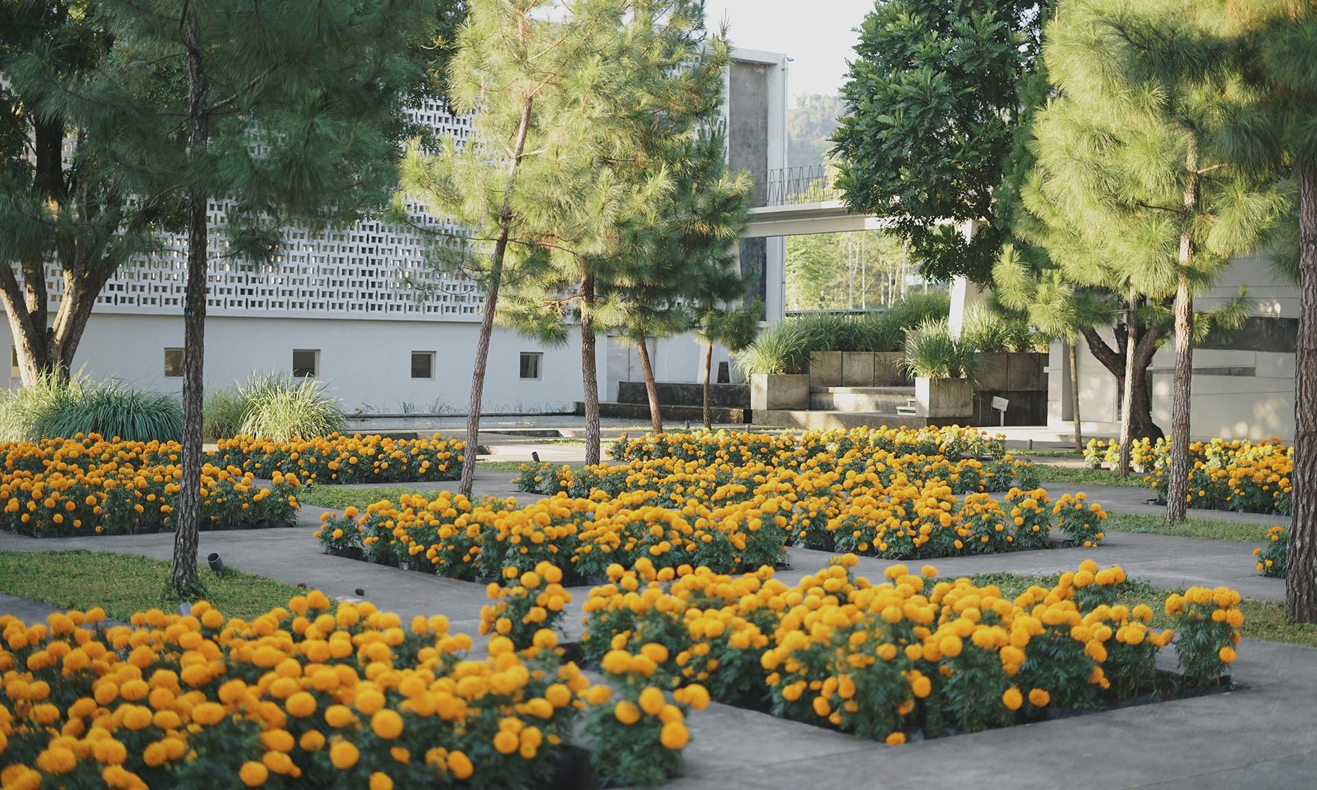 Rumah Atsiri Indonesia, Dari Pabrik Hingga Wisata Edukasi