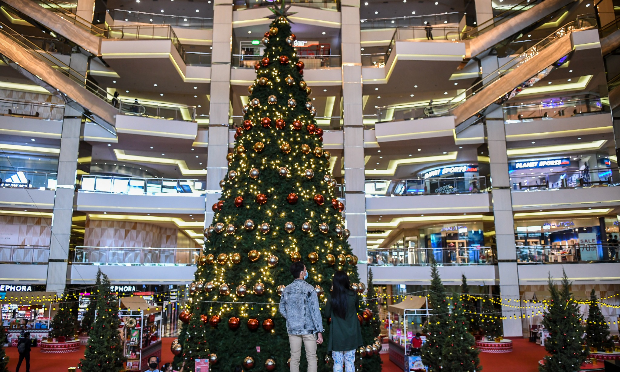 Cerita Pohon Cemara Jadi Ikon Natal