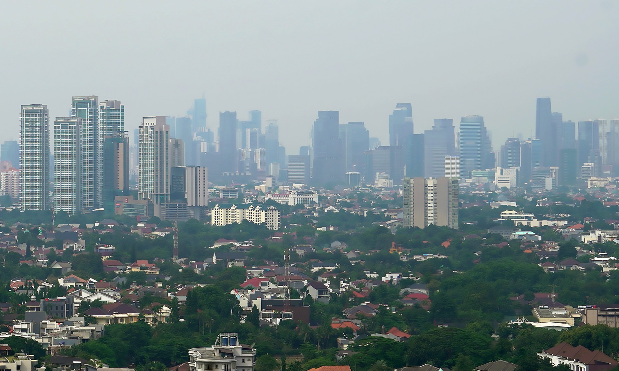 Celios: Investor <i>Wait and See</i> Jelang Tahun Pemilu