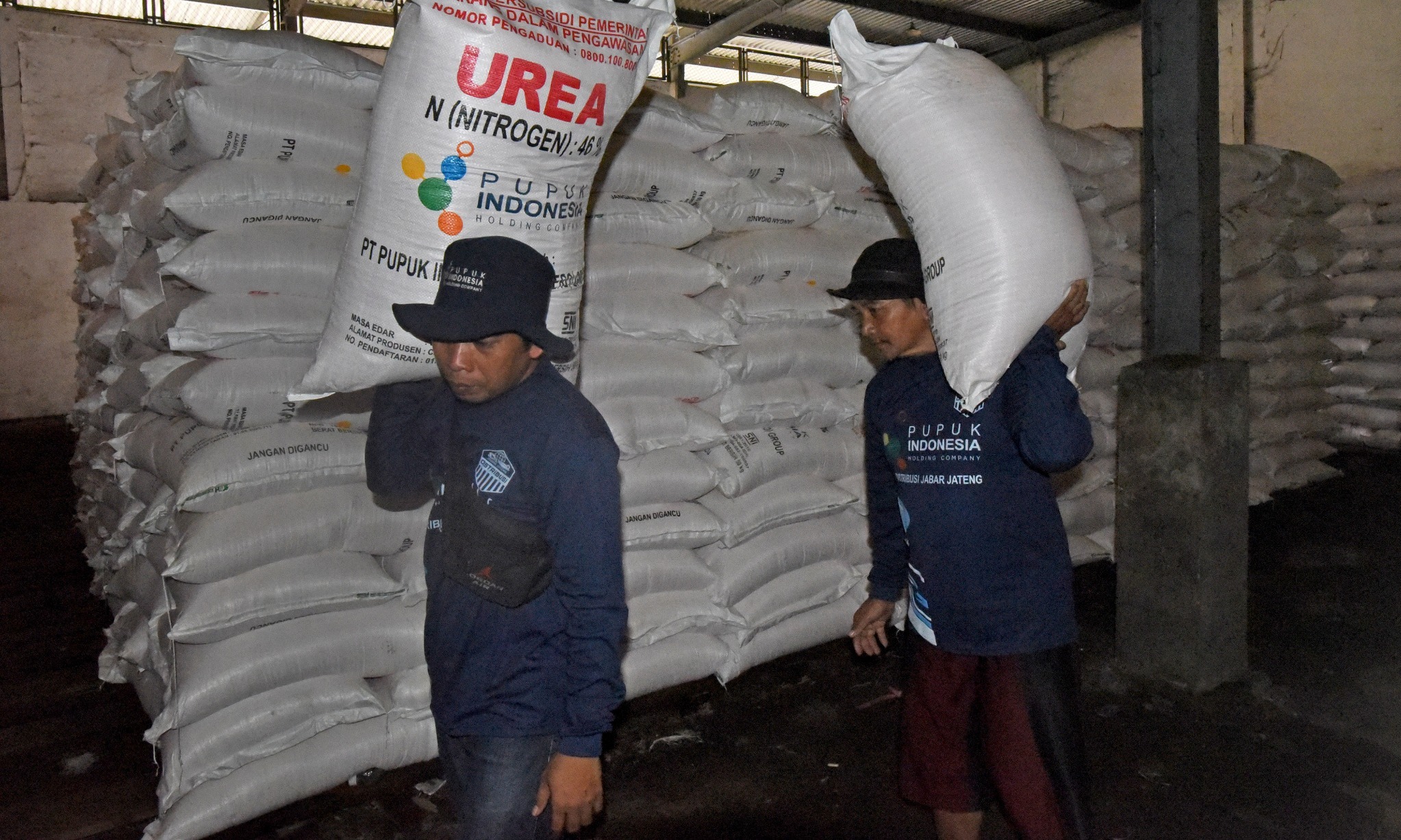 310.822 Ton Pupuk Berubsidi Disiapkan Untuk Indonesia Bagian Timur