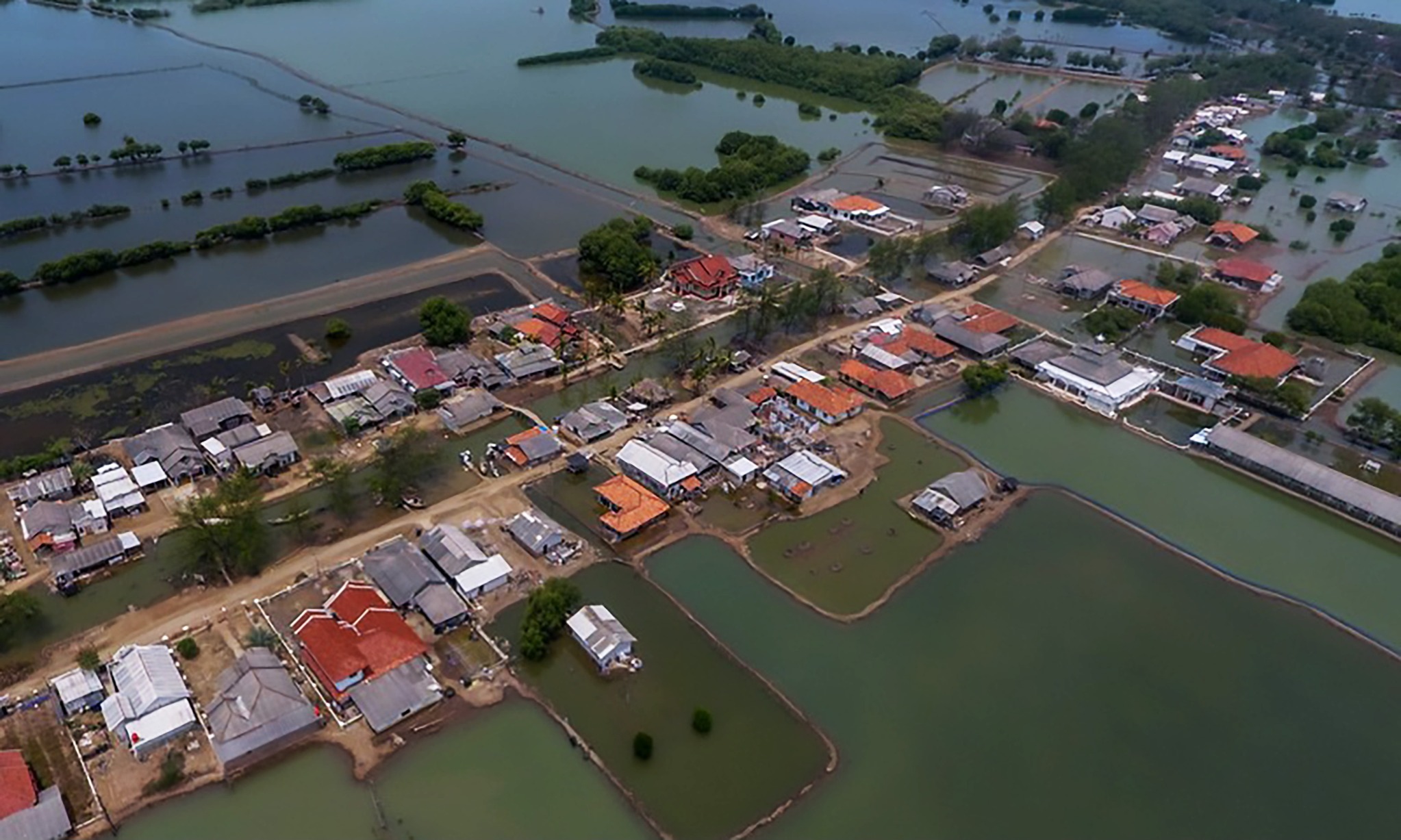 Bekasi Masih Cari Solusi Atasi Abrasi Di Muaragembong