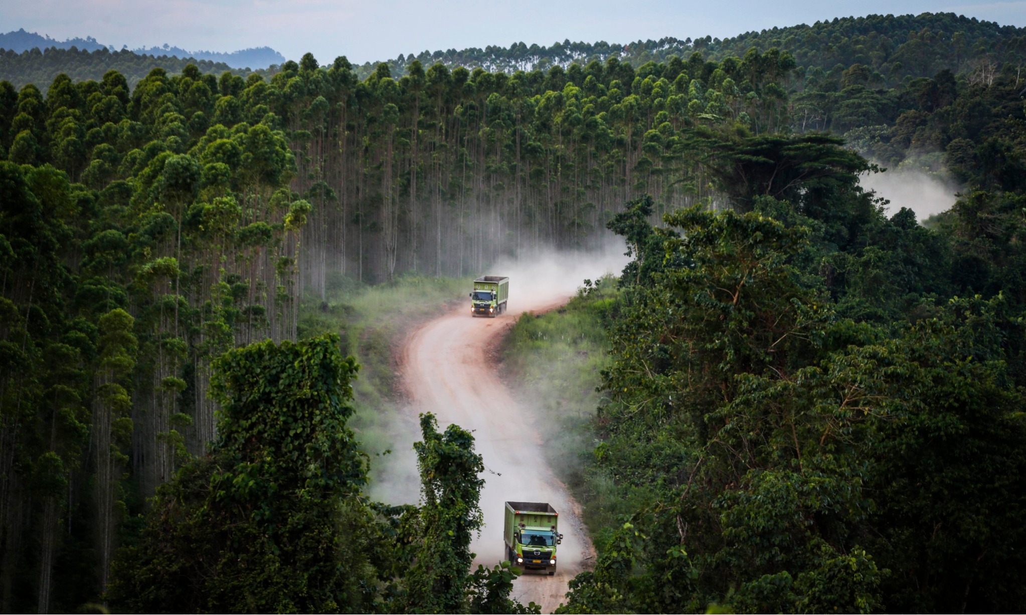 100 Investor Nyatakan Ketertarikan Berinvestasi di IKN