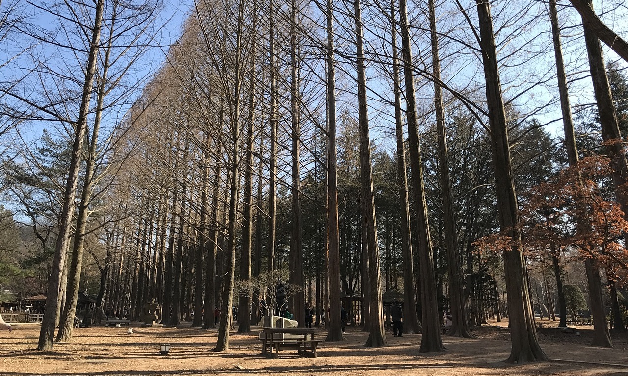 Memilih Satu Dari Empat 'Wajah' Pulau Nami