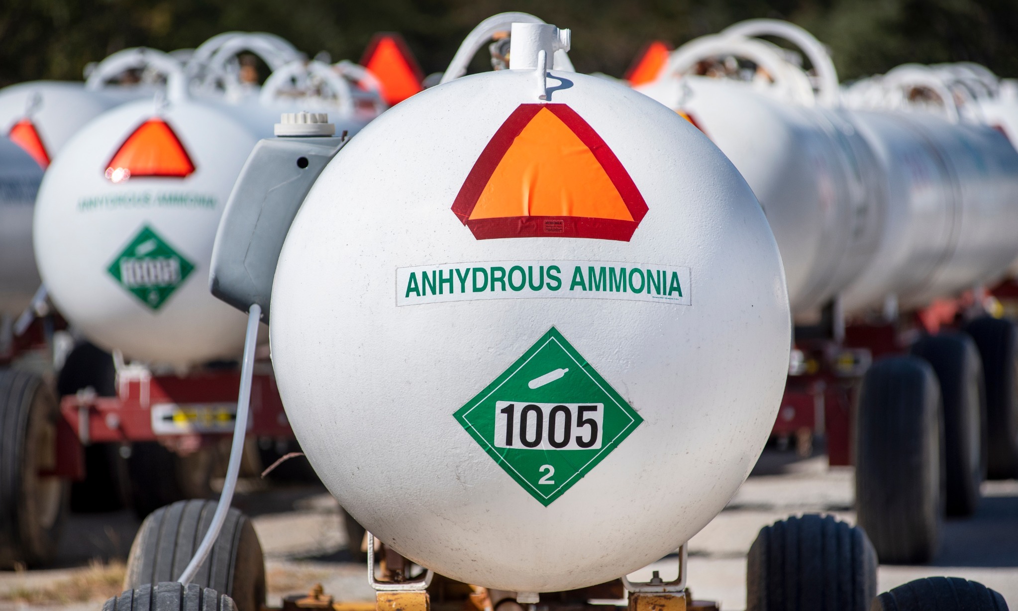 Permintaan <i>Blue</i> Dan <i>Green Ammonia</i> Ditaksir Terus Naik