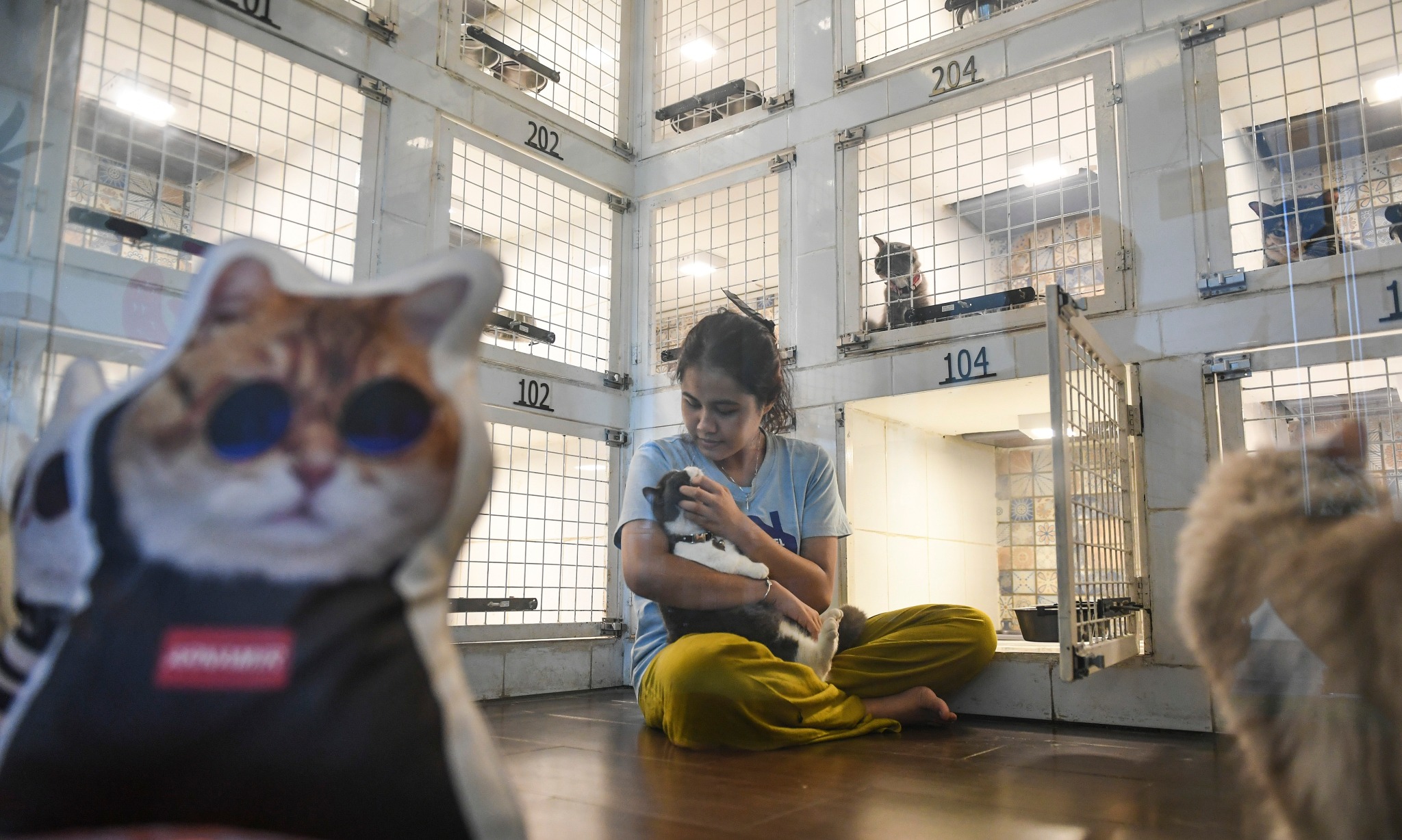 Pet Hotel, Solusi Tinggalkan Anabul Anti WasWas