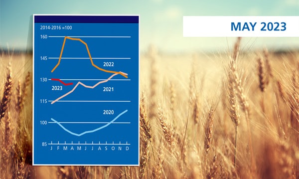 FAO: Pertama Dalam Setahun Terakhir, Harga Pangan Dunia Naik 0,6%