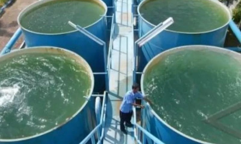 Kementerian PUPR Bangun Lima Fasilitas Publik Di Kaimana